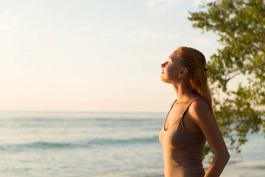 Vegetarian Vitamin D sources and benefits highlighted in an informative guide.